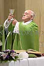 %_tempFileName00031_20062014%