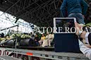 %_tempFileName07362_24042016%