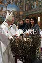 %_tempFileName02097_08012017%