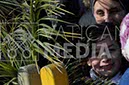 %_tempFileName00354_25032018%