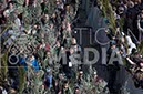 %_tempFileName00403_25032018%