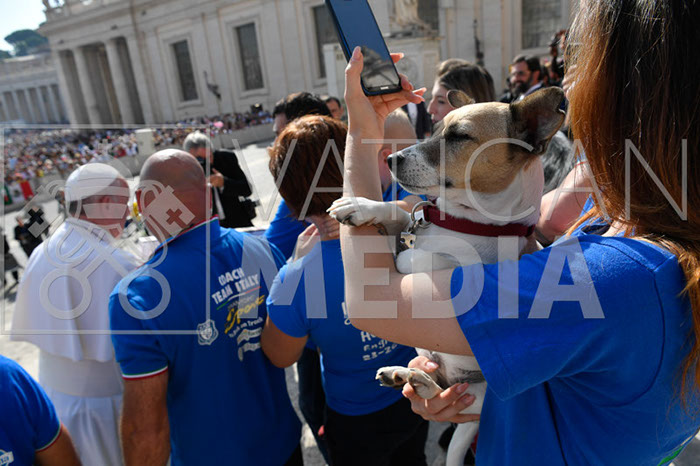 %_tempFileName296231_18092019%