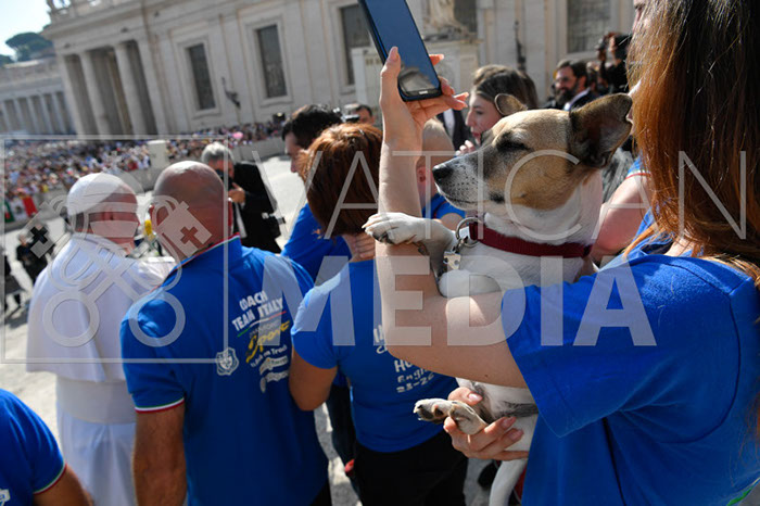 %_tempFileName296232_18092019%
