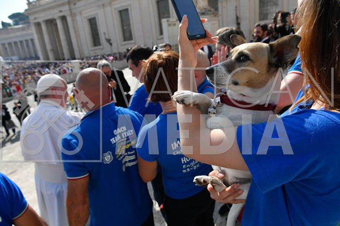 %_tempFileName296233_18092019%