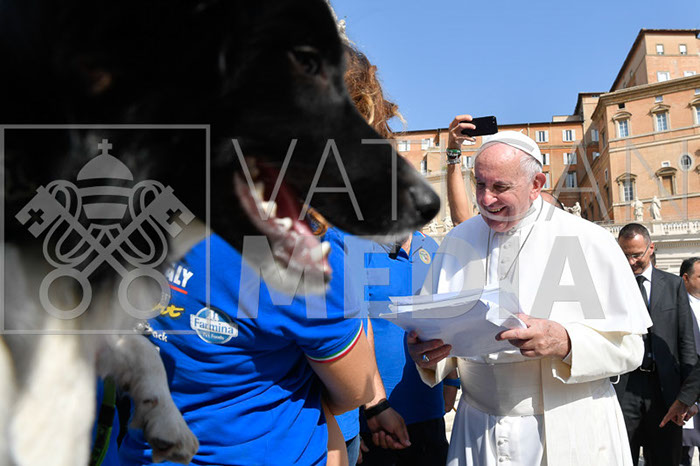 %_tempFileName296259_18092019%