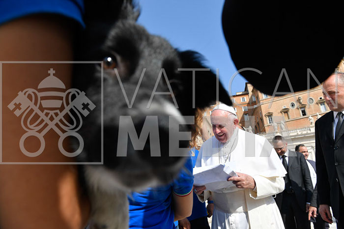 %_tempFileName296263_18092019%