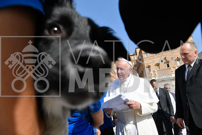 %_tempFileName296265_18092019%