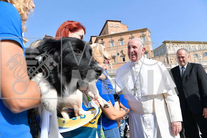 %_tempFileName296288_18092019%