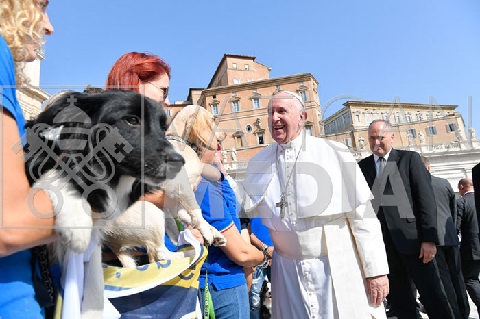 %_tempFileName296289_18092019%