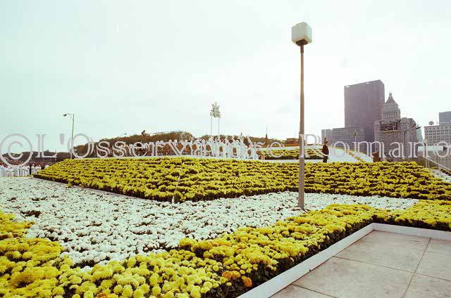 %_tempFileName02390_IRLANDA-USA1979%