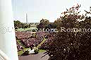 %_tempFileName01688_IRLANDA-USA1979%