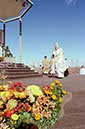 %_tempFileName01740_IRLANDA-USA1979%