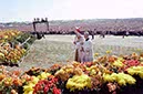 %_tempFileName01754_IRLANDA-USA1979%