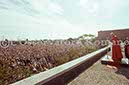 %_tempFileName01989_IRLANDA-USA1979%