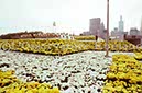 %_tempFileName02389_IRLANDA-USA1979%