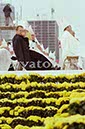 %_tempFileName02398_IRLANDA-USA1979%