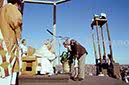 %_tempFileName02594_IRLANDA-USA1979%