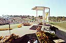 %_tempFileName02616_IRLANDA-USA1979%
