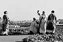 %_tempFileName02321BN_IRLANDA-USA1979%